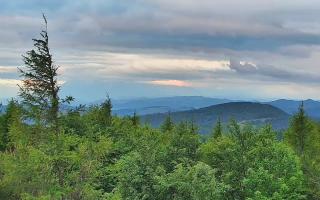 Jaworzyna Krynicka 2 - 15-06-2026 03:00