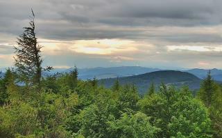 Jaworzyna Krynicka 2 - 15-06-2026 03:23