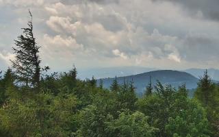 Jaworzyna Krynicka 2 - 17-06-2026 12:36