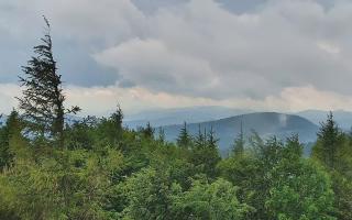 Jaworzyna Krynicka 2 - 17-06-2026 12:43