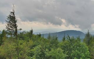 Jaworzyna Krynicka 2 - 17-06-2026 12:51
