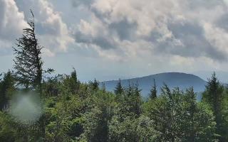 Jaworzyna Krynicka 2 - 17-06-2026 13:29