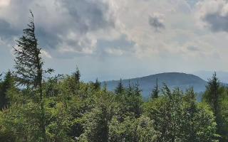 Jaworzyna Krynicka 2 - 17-06-2026 13:37