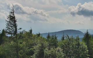Jaworzyna Krynicka 2 - 17-06-2026 13:44