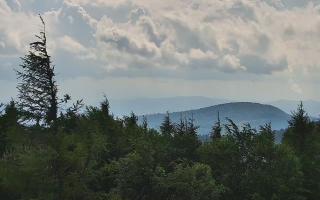 Jaworzyna Krynicka 2 - 17-06-2026 14:07