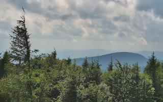 Jaworzyna Krynicka 2 - 17-06-2026 14:15