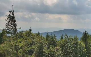 Jaworzyna Krynicka 2 - 17-06-2026 14:22