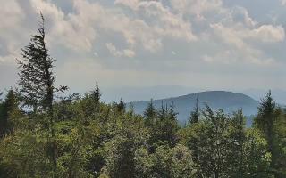 Jaworzyna Krynicka 2 - 17-06-2026 14:30