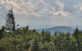 Jaworzyna Krynicka 2 - 17-06-2026 14:37