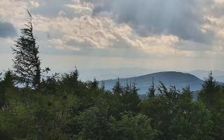 Jaworzyna Krynicka 2 - 17-06-2026 14:45