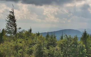 Jaworzyna Krynicka 2 - 17-06-2026 14:53