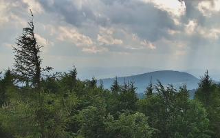 Jaworzyna Krynicka 2 - 17-06-2026 15:00