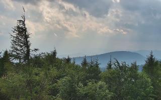 Jaworzyna Krynicka 2 - 17-06-2026 15:08