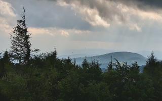 Jaworzyna Krynicka 2 - 17-06-2026 15:15