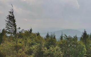 Jaworzyna Krynicka 2 - 17-06-2026 15:31