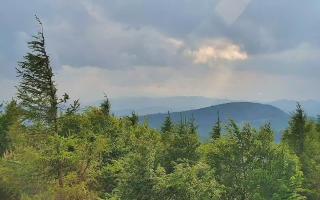 Jaworzyna Krynicka 2 - 17-06-2026 15:38
