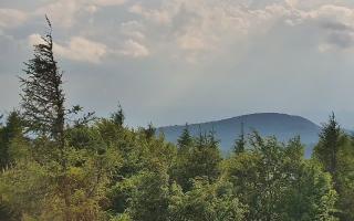 Jaworzyna Krynicka 2 - 17-06-2026 15:53