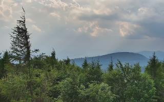 Jaworzyna Krynicka 2 - 17-06-2026 16:01