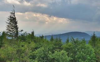 Jaworzyna Krynicka 2 - 17-06-2026 16:08