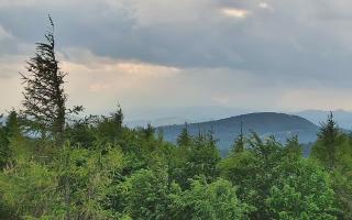 Jaworzyna Krynicka 2 - 17-06-2026 16:16