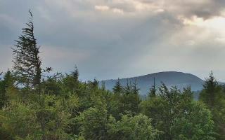 Jaworzyna Krynicka 2 - 17-06-2026 16:24