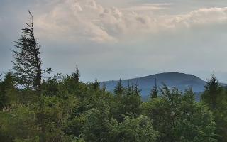 Jaworzyna Krynicka 2 - 17-06-2026 16:31