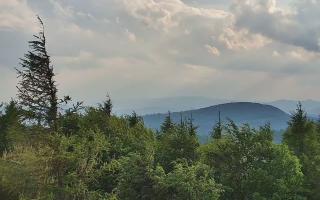 Jaworzyna Krynicka 2 - 17-06-2026 16:46