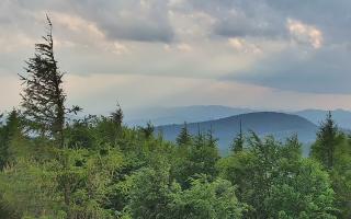 Jaworzyna Krynicka 2 - 17-06-2026 16:54
