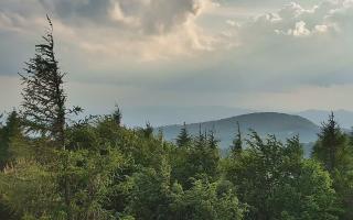 Jaworzyna Krynicka 2 - 17-06-2026 17:02