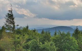 Jaworzyna Krynicka 2 - 17-06-2026 17:09