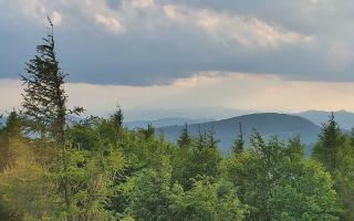 Jaworzyna Krynicka 2 - 17-06-2026 17:17