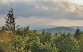 Jaworzyna Krynicka 2 - 17-06-2026 17:24