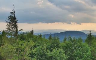 Jaworzyna Krynicka 2 - 17-06-2026 17:32