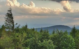Jaworzyna Krynicka 2 - 17-06-2026 17:55