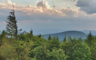 Jaworzyna Krynicka 2 - 17-06-2026 18:02