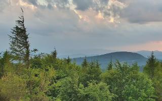 Jaworzyna Krynicka 2 - 17-06-2026 18:10