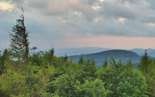 Jaworzyna Krynicka 2 - 17-06-2026 18:25