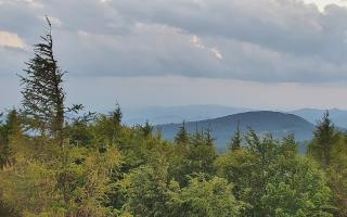 Jaworzyna Krynicka 2 - 17-06-2026 18:40