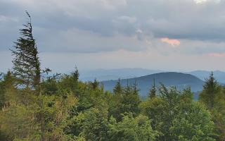 Jaworzyna Krynicka 2 - 17-06-2026 18:48