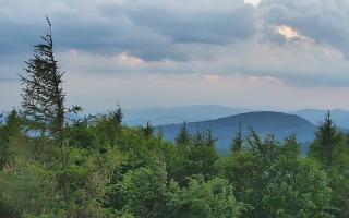 Jaworzyna Krynicka 2 - 17-06-2026 18:56