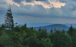 Jaworzyna Krynicka 2 - 17-06-2026 19:03