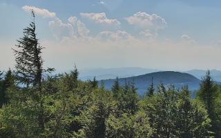 Jaworzyna Krynicka 2 - 27-06-2026 13:43