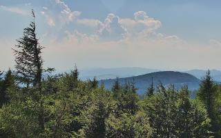 Jaworzyna Krynicka 2 - 27-06-2026 13:50