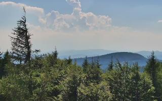 Jaworzyna Krynicka 2 - 27-06-2026 13:58