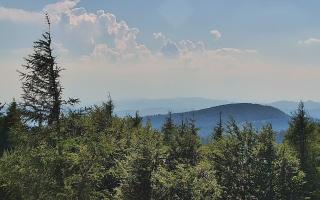 Jaworzyna Krynicka 2 - 27-06-2026 14:21