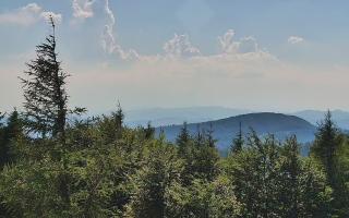 Jaworzyna Krynicka 2 - 27-06-2026 14:28