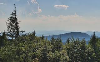 Jaworzyna Krynicka 2 - 27-06-2026 14:44