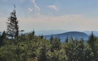 Jaworzyna Krynicka 2 - 27-06-2026 14:51