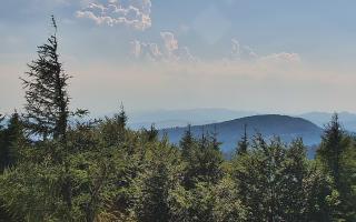 Jaworzyna Krynicka 2 - 27-06-2026 14:59