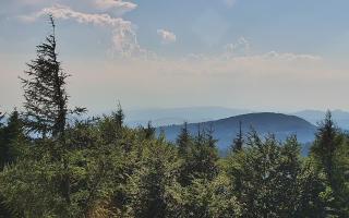 Jaworzyna Krynicka 2 - 27-06-2026 15:06